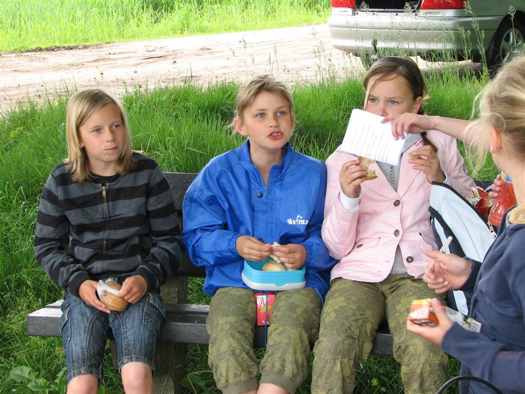 IMG_5964 (Large).jpg